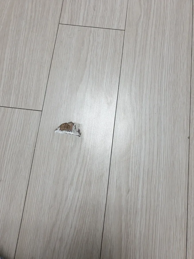 마루 표면 파손 조각 손상 — 나무바닥보수 시공 전